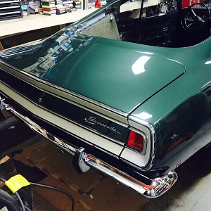 rear guards no glass.jpg