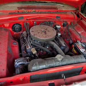 2012-05-12 dart 003--blog (1).jpg