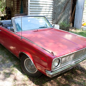 2012-06-08 dart 033--blog.jpg