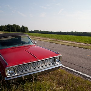 2012-07-10 dart 013--blog (1).jpg