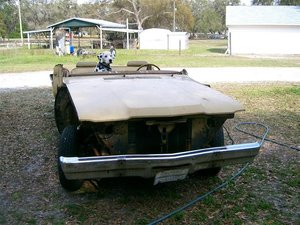 2010-03-24 Waggin's Yard Dog (0) (Medium).JPG