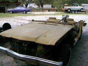 2010-03-24 Waggin's Yard Dog (3) (Medium).JPG