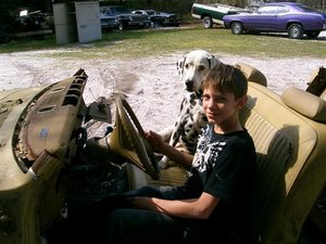 2010-03-24 Waggin's Yard Dog (2) (Medium).JPG