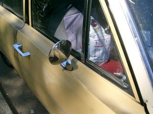 2010-04-02 74 Dart PD (2) (Medium).JPG