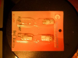 2010-04-07 74 Dart PD (4) (Medium).JPG