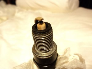 DSC00019.jpg DSC00019.jpg