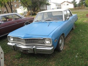 Picture 002 (Medium).jpg