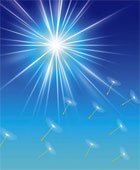 sunshine.jpg sunshine.jpg