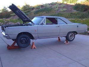 misc 5-13-10 063.jpg misc 5-13-10 063.jpg