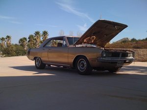 5-13-2010 030.jpg 5-13-2010 030.jpg