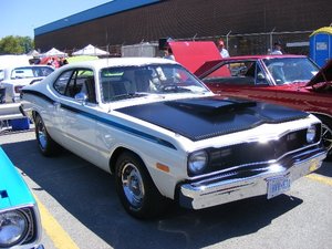 SpringFling 2010 001.jpg