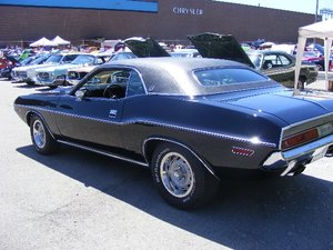 SpringFling 2010 008.jpg