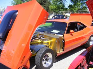 SpringFling 2010 020.jpg