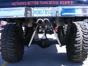 SpringFling 2010 031.jpg