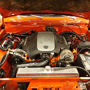 20200817_201349_resized (1).jpg