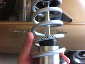 IMG_1326.jpg IMG_1326.jpg