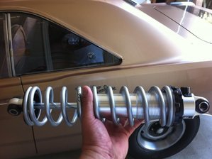 IMG_1327.jpg IMG_1327.jpg