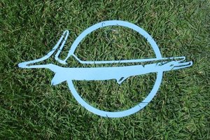 Barracuda sign (4).jpg Barracuda sign (4).jpg