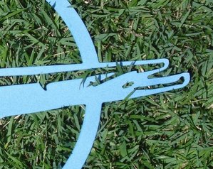 Barracuda sign (4).jpg