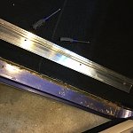 058 - Remove Door Sills Before Old Kick Panels.JPG