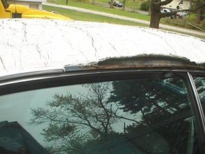 DUSTER DRIVER SID EROVE RAIL BEFORE.jpg