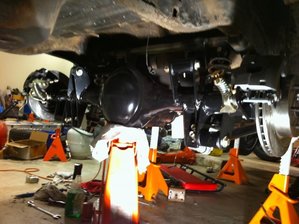 IMG_1528.jpg IMG_1528.jpg