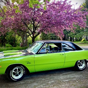 Jenee's 1972 Dodge Dart Swinger