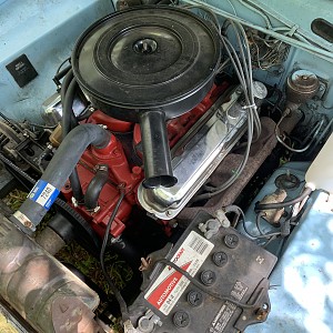 1966 Valiant Signet
