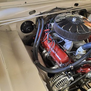 Pinapple air clnr..jpg