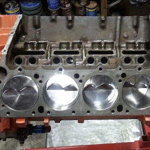 489 assbly short.jpg