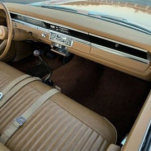 269610276_2594113340732973_5229382298646638457_n (2).jpg