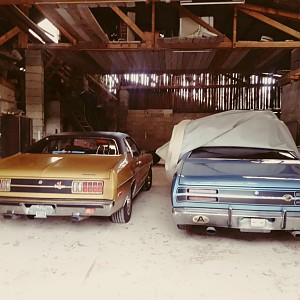 4cebe420-e596-493a-831e-84fbbc236732 (002).JPG