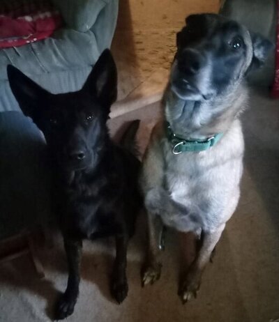 Kenna and Chase.jpg Kenna and Chase.jpg