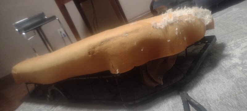 IMG_20220617_210352924.jpg IMG_20220617_210352924.jpg