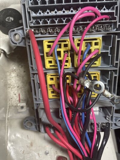 09D692C2-53C7-4A18-A5EE-21648AAD5730.jpeg 09D692C2-53C7-4A18-A5EE-21648AAD5730.jpeg