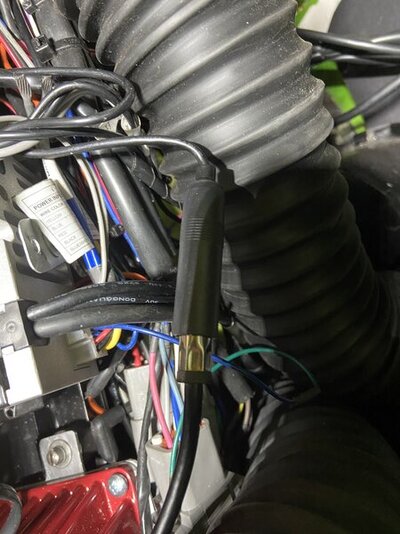 7354074B-7845-4342-97BC-258ABC6DCE5C.jpeg 7354074B-7845-4342-97BC-258ABC6DCE5C.jpeg