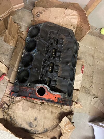 IMG_5184.jpeg IMG_5184.jpeg