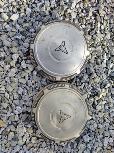 Dog dish hub caps buff finish.jpg