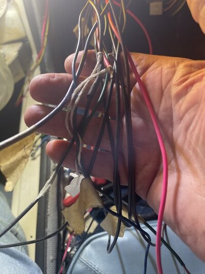 70864119438__E498CE59-7035-4597-A9BA-68BDEC68875F.jpeg 70864119438__E498CE59-7035-4597-A9BA-68BDEC68875F.jpeg