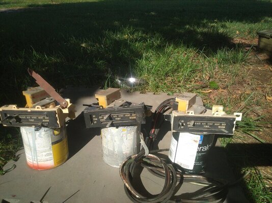 IMG_20230810_172532.jpg IMG_20230810_172532.jpg