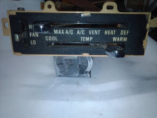 IMG_20230810_172738.jpg IMG_20230810_172738.jpg