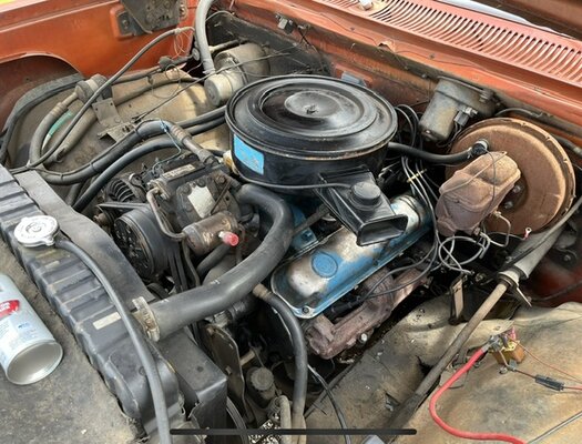 IMG_2517.jpeg IMG_2517.jpeg