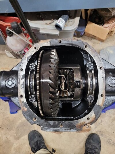 20231113_205525.jpg 20231113_205525.jpg