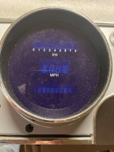 IMG_4312.jpeg IMG_4312.jpeg