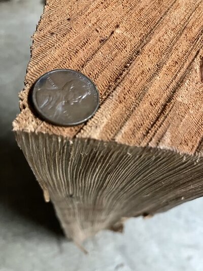 DFE8381C-0B65-4258-B8A3-1AFC345D7CD5.jpeg DFE8381C-0B65-4258-B8A3-1AFC345D7CD5.jpeg