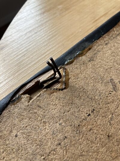 5F98D24C-B6D1-4C99-A480-82A5EC81C808.jpeg 5F98D24C-B6D1-4C99-A480-82A5EC81C808.jpeg