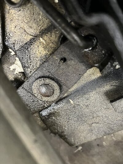 CB4016D9-1719-4258-8952-71BC002F3DAC.jpeg CB4016D9-1719-4258-8952-71BC002F3DAC.jpeg