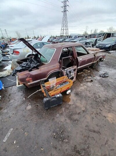 20240130_103518.jpg 20240130_103518.jpg