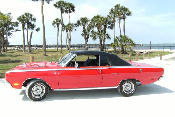 Dart (2).jpg Dart (2).jpg