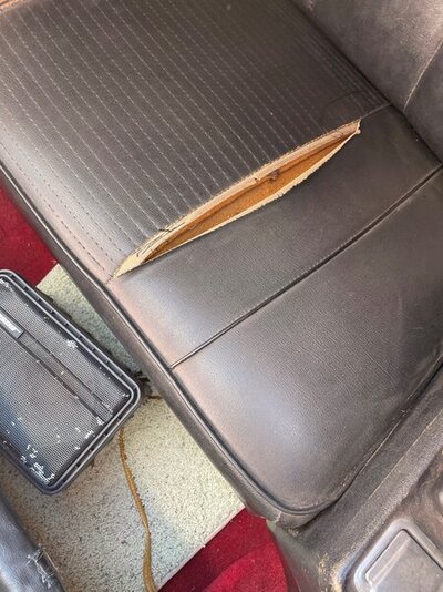 back seat.jpg back seat.jpg